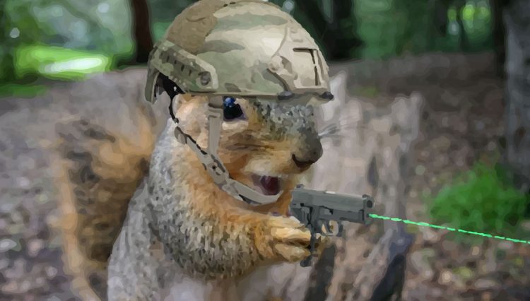 Squirrel shooting a laser gun